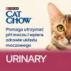 Purina Cat Chow Urinary Tract Health sucha karma dla kotów 1.5 kg Dorosły Kurczak