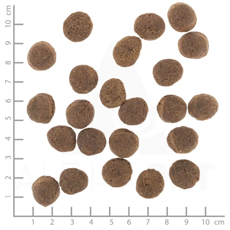 Sucha karma dla psa Wolfsblut VetLine Gastrointestinal Duck 2 kg — dieta weterynaryjna wspomagająca układ trawienny, 20% białka, 10% tłuszczu