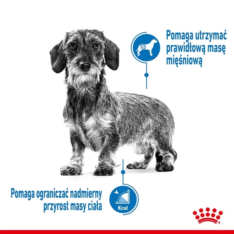 Royal Canin CCN MINI LIGHT WEIGHT CARE - sucha karma dla dorosłych psów - 3kg