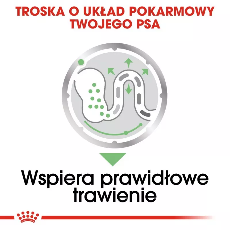 Mokra karma dla psa Royal Canin Digestive Care saszetki z mięsem i warzywami 12 x 85 g — psy dorosłe, wsparcie trawienia