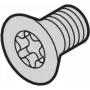 SCHROFF SCREW TORX CSK.M4X14 (100SZT.) - Akcesorium do szafy (24560145)