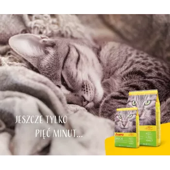 Sucha karma dla kota JOSERA SensiCat 10 kg — kurczak, 33% białka, 18% tłuszczu, dla dorosłych kotów z wrażliwym żołądkiem