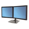 Ergotron DS100 - Podstawa - pozioma - dla 2 wyświetlaczy LCD - Aluminium, Stal - Czarny - Rozmiar ekranu: do 61 cm (do 24 cale)