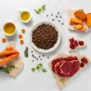 RAW PALEO Ultra Medium&Large Adult Beef - sucha karma dla psa - 10 kg