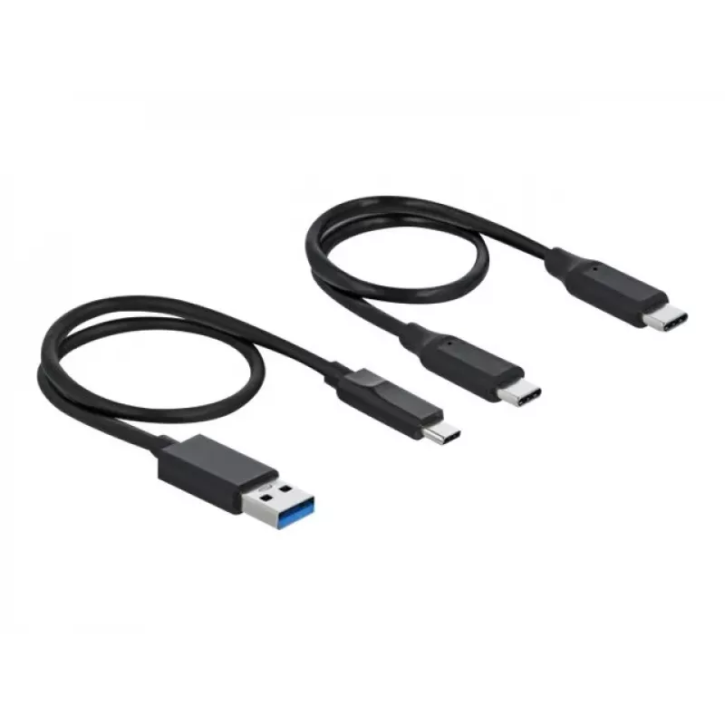 Czytnik kart DeLOCK USB Type-C dla CFast SD + Hub USB