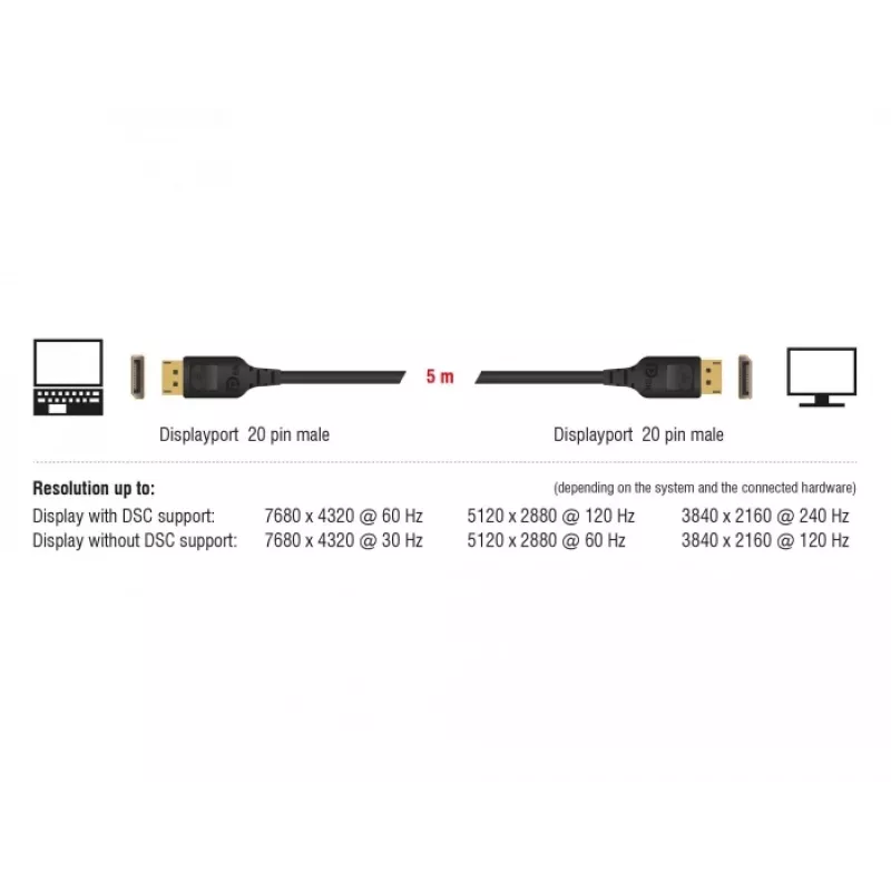 Kabel DisplayPort DeLOCK 85658 1 m Czarny