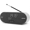 Technisat DigitRadio BT 2 jasnoszary (0001/3973)