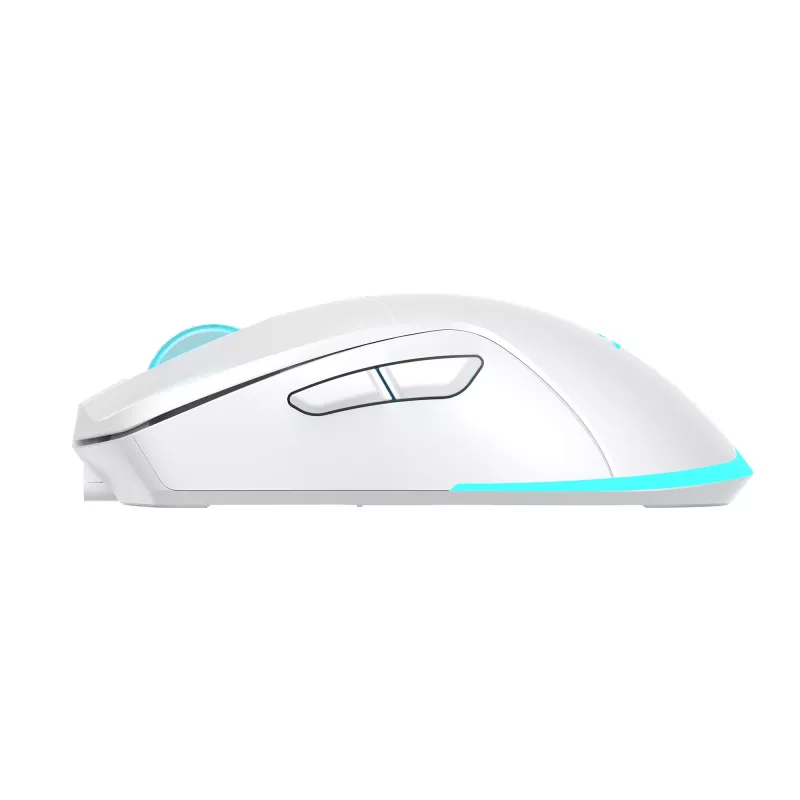 Mysz Baracuda BGM-122 Turtle biała TURTLE-W