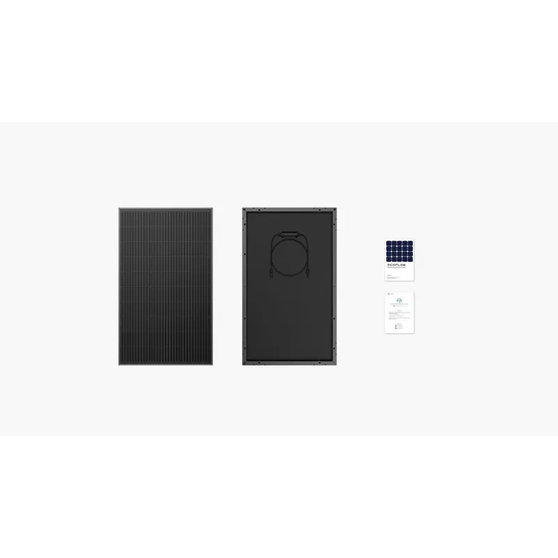 EcoFlow ZMS331 Panel słoneczny 100W Krzem monokrystaliczny Czarny IP68