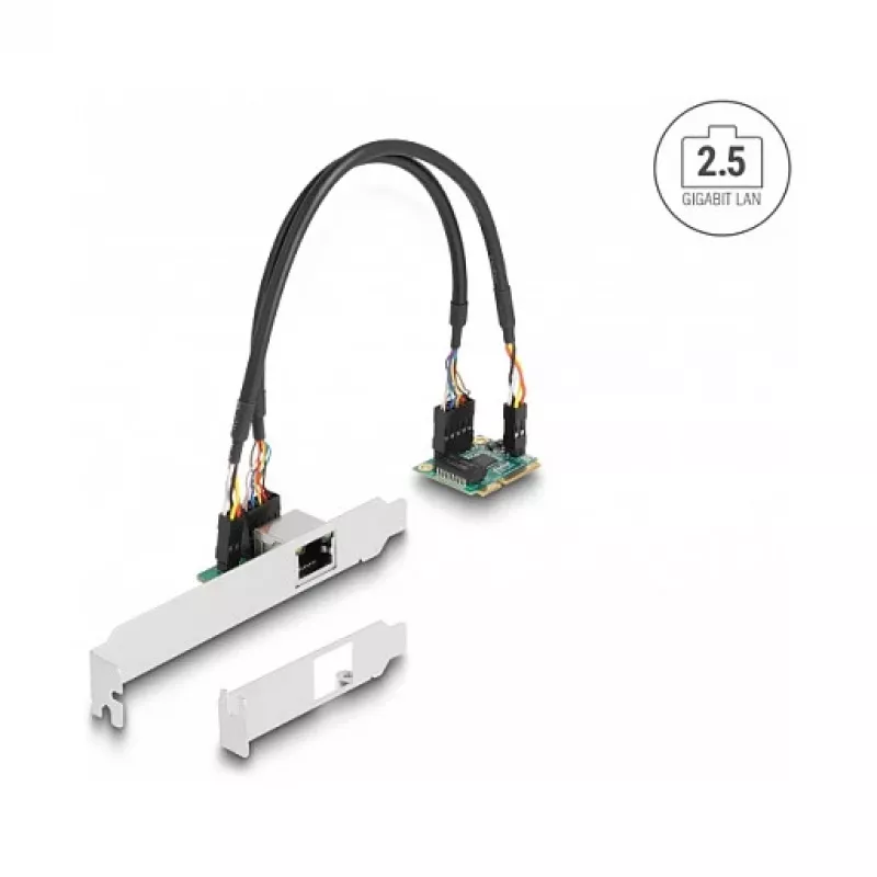 DeLOCK 95271 Wewnętrzna karta sieciowa 2500 Mbit/s Mini PCI Express