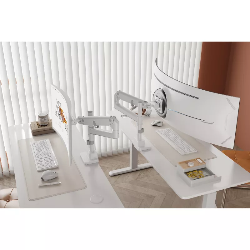 Uchwyt do monitora DIGITUS Single, zacisk, maks. 57 cali, udźwig 27 kg, VESA 75x75–100x100, biały