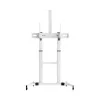 Podstawa podłogowa Sbox FS-3610 do telewizorów LED Ultra-Large 60-100 cali, 100 kg, biała