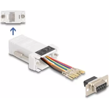 DeLOCK D-Sub 9 pin żeński na RJ45 żeński zestaw montażowy biały VGA RJ-45