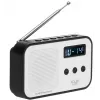 Przenośne radio cyfrowe Adler AD 1907 — AM/FM, tuner cyfrowy, alarm, USB-C, bateria 600 mAh, LCD, 20 ustawień, antena teleskopowa