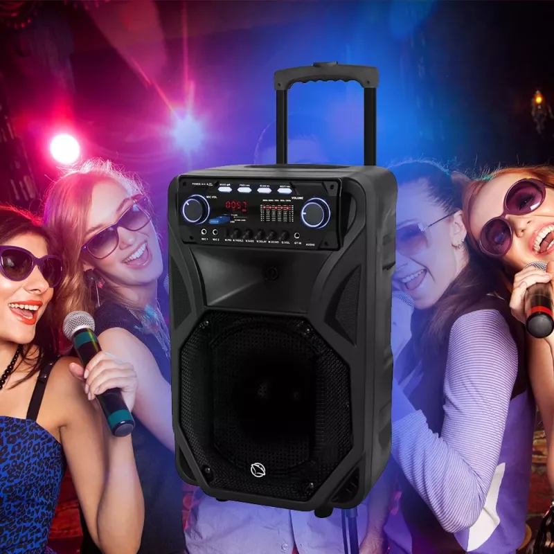Przenośny głośnik karaoke MANTA SPK5021PRO 20W, woofer 12 cali, 80W RMS, Bluetooth, bateria do 5h, SD/USB, wejścia mikrofonowe i gitarowe
