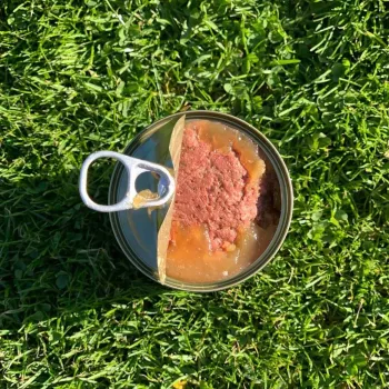 Mokra karma dla psów OLLO Pure Beef and zielony Tripe 400 g puszka — dla dorosłych, białko 14,5%, tłuszcz 11,9%, wilgotność 69%