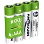 Ansmann 1x4 NiMH Battery Micro AAA Type 600 min.550 mAh 1311-0022 (1311-0022)