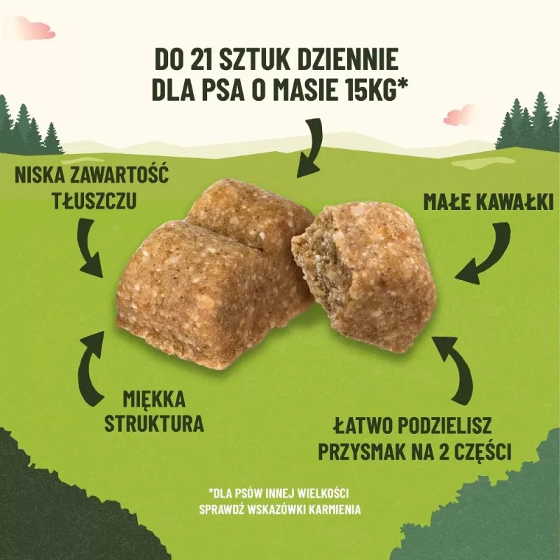 PURINA Adventuros Training salmon - przysmak dla psa - 40g