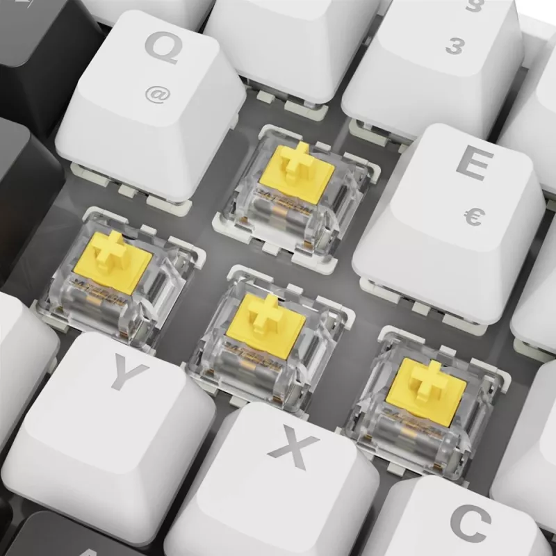 Klawiatura Sharkoon SGK50 S4 Domowa USB QWERTZ Niemiecka Biała RGB LED 60%