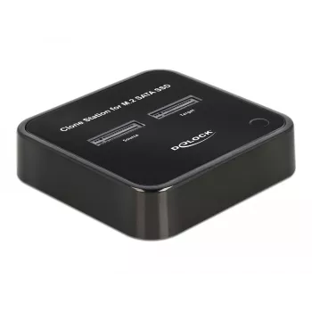 DeLOCK 64178 Stacja dokująca USB 3.2 Gen 2 Typu C SSD M.2