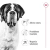 ROYAL CANIN Giant Adult - sucha karma dla psów - 15 kg
