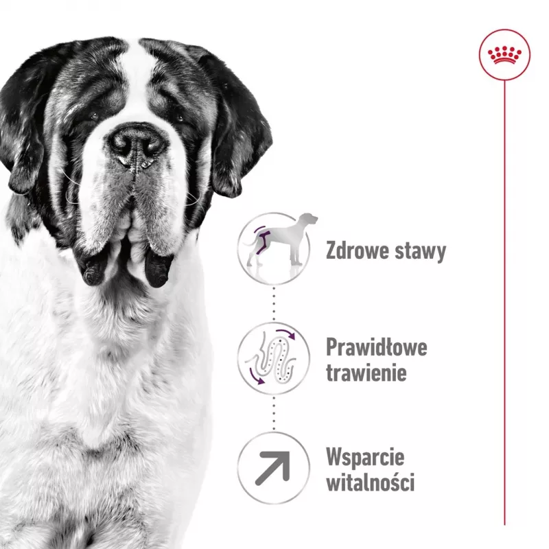 ROYAL CANIN Giant Adult - sucha karma dla psów - 15 kg