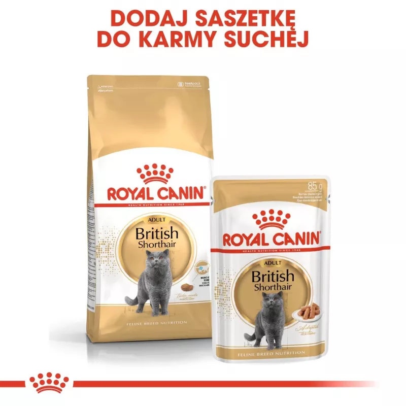 Sucha karma dla kota Royal Canin British Shorthair Adult 2 kg — drób, 34% białka, 19% tłuszczu