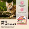 INABA Churu Zestaw Tuńczyk – przysmaki dla kota – 60 x 14g