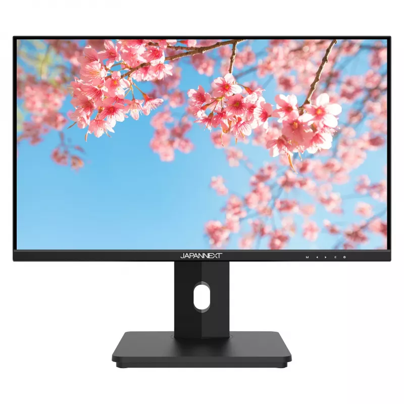 Monitor Japannext JN-I215FLFHSP-C65W