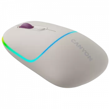 Mysz CANYON MW-22 2-w-1 BT/bezprzewodowa Rice