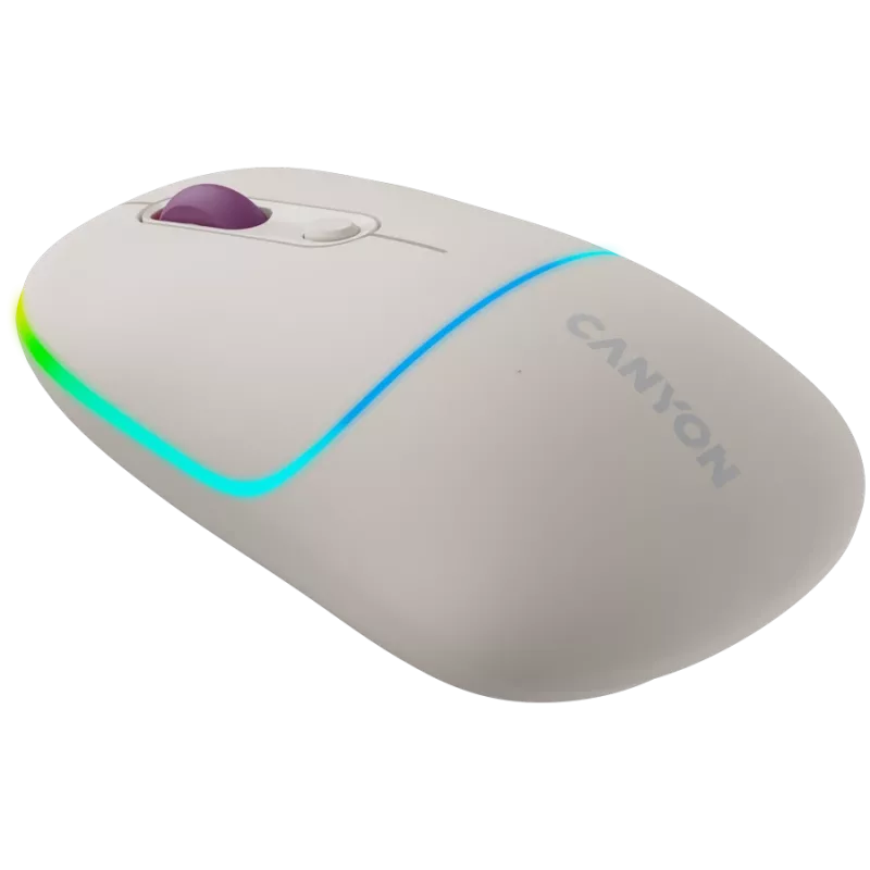 Mysz CANYON MW-22 2-w-1 BT/bezprzewodowa Rice
