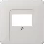 Jung CD569TLG Urządzenie sieciowe Szary