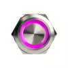 Wandaloodporny przycisk przełącznik DimasTech PD197 pierścień 25 mm Silverline