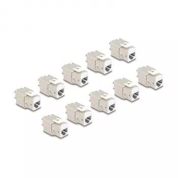 DeLOCK 88119 moduł keystone płaski biały RJ-45 10 szt.