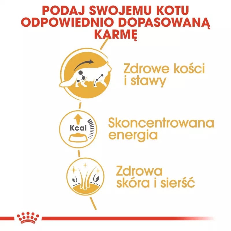 ROYAL CANIN FBN Maine Coon - mokra karma dla kota - saszetka 12x 85g