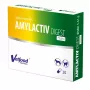Enzymy trawienne Vetfood AMYLACTIV DIGEST MINI – suplement diety, 30 kapsułek dla kotów i psów