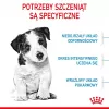 Sucha karma dla psa Royal Canin Mini Puppy 2 kg — rasy małe, kurczak, 31% białka