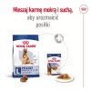 Sucha karma dla psa Royal Canin Maxi Adult 5+ 15 kg — kurczak, białko 26%, tłuszcz 17%