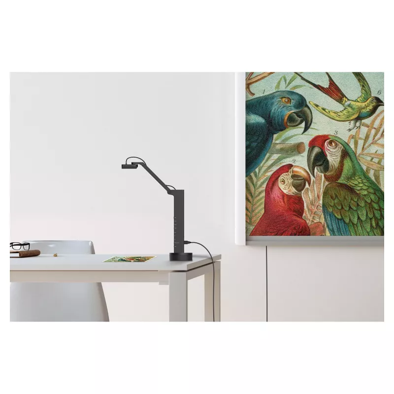 Kamera dokumentacyjna IPEVO VZ-X ULTRA Czarna, CMOS 25.4/3.06 mm, 4K 3840×2160, USB/HDMI/Wi‑Fi