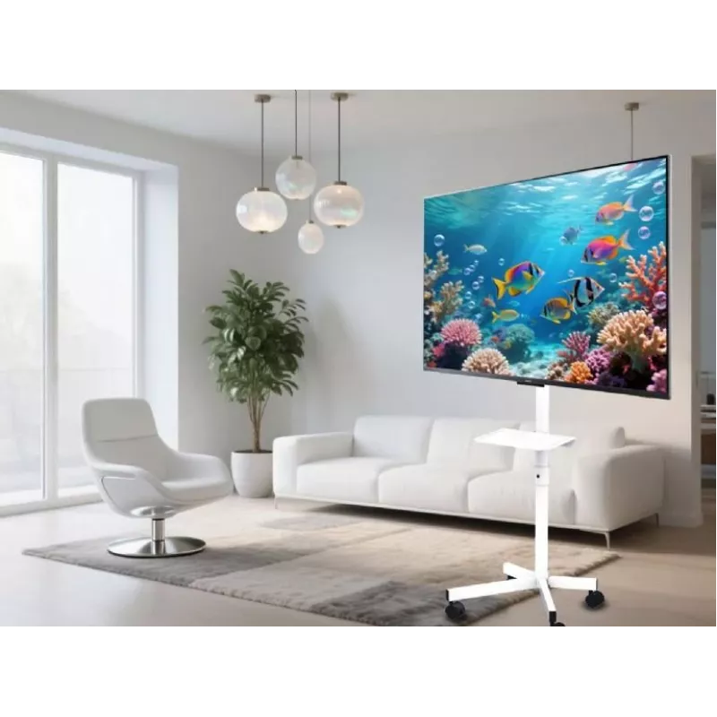 Gembird stojak podłogowy pod telewizor z kółkami do 32–55 cali, biały, VESA 100x100–400x400, 30 kg
