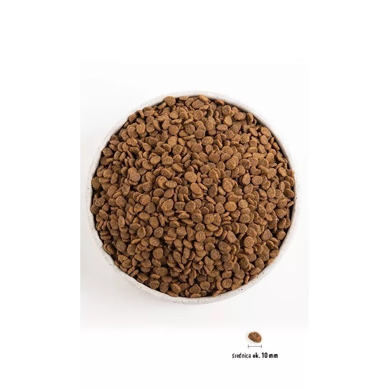 ORIJEN Cat Oryginalny - sucha karma dla kota - 1,8 kg