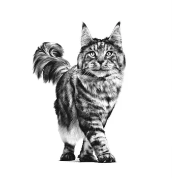 ROYAL CANIN Cat Gastrointestinal VHN - sucha karma dla kota - 400g