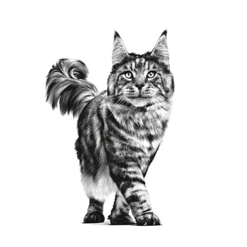 ROYAL CANIN Cat Gastrointestinal VHN - sucha karma dla kota - 400g
