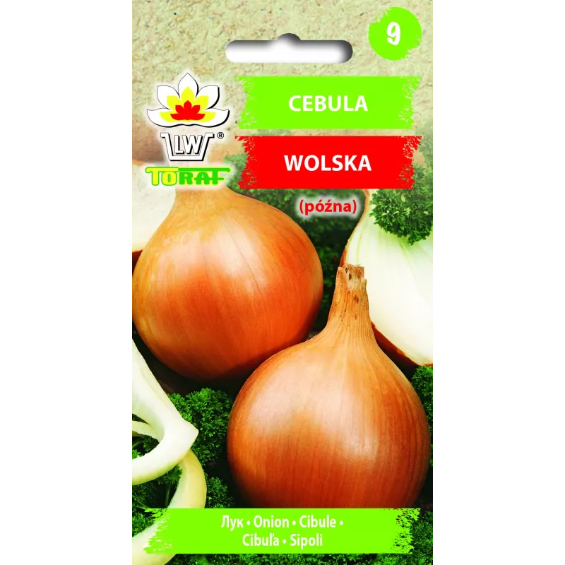 Nasiona warzyw cebuli Wolska Toraf, opakowanie 5g