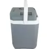 Cool Box Campingaz Powerbox Plus 28 L Electric szary