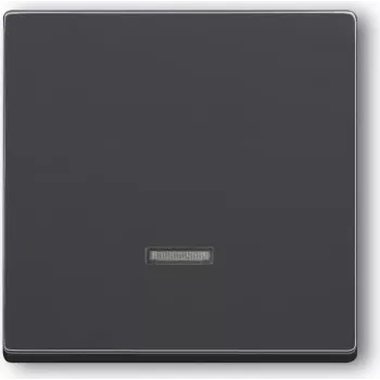 Busch-jaeger 6599-0-2881 Urządzenie sieciowe