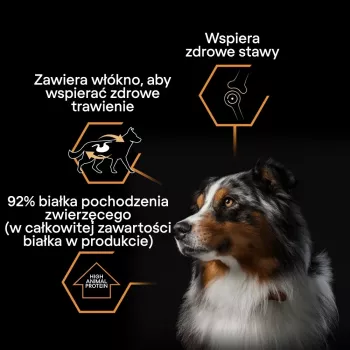 PURINA Pro Plan Everyday nutrition All size Adult Turkey w galaretce - mokra karma dla psów - 400g