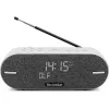 Technisat DigitRadio BT 2 jasnoszary (0001/3973)