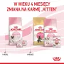 Sucha karma dla kota Royal Canin Mother & Babycat 2 kg — kurczak, dla kotek ciężarnych, karmiących oraz kociąt (Junior)