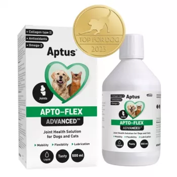 Płynny suplement na stawy Aptus Apto-flex Advanced dla psów i kotów 500 ml, płyn, butelka 500 ml, bez konserwantów